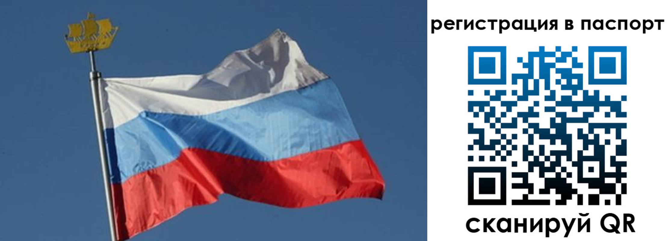 временная регистрация законно в Балтийске